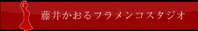 藤井かおるフラメンコスタジオ